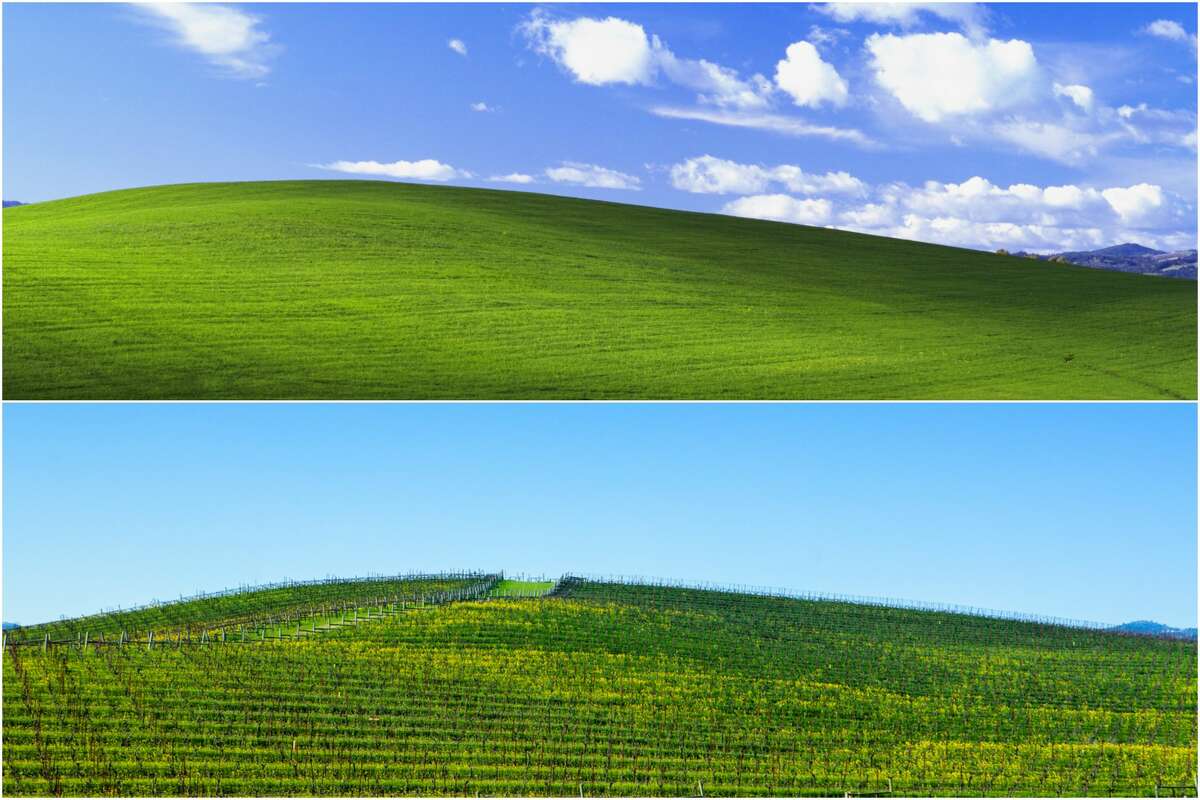 Found out where they took bliss (windows xp background) : r/Kaguya_sama