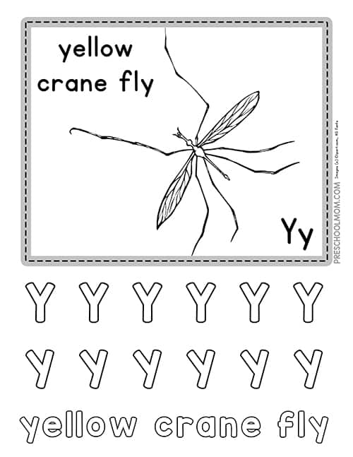 Letter y preschool printables