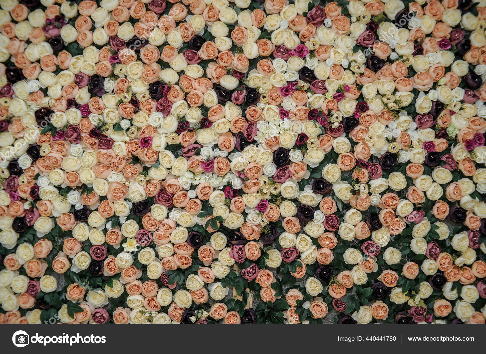 Wall different flowers backgrounds textures wallpaper wedding decoration photo zone stock photo by ljovkovskiyahoo