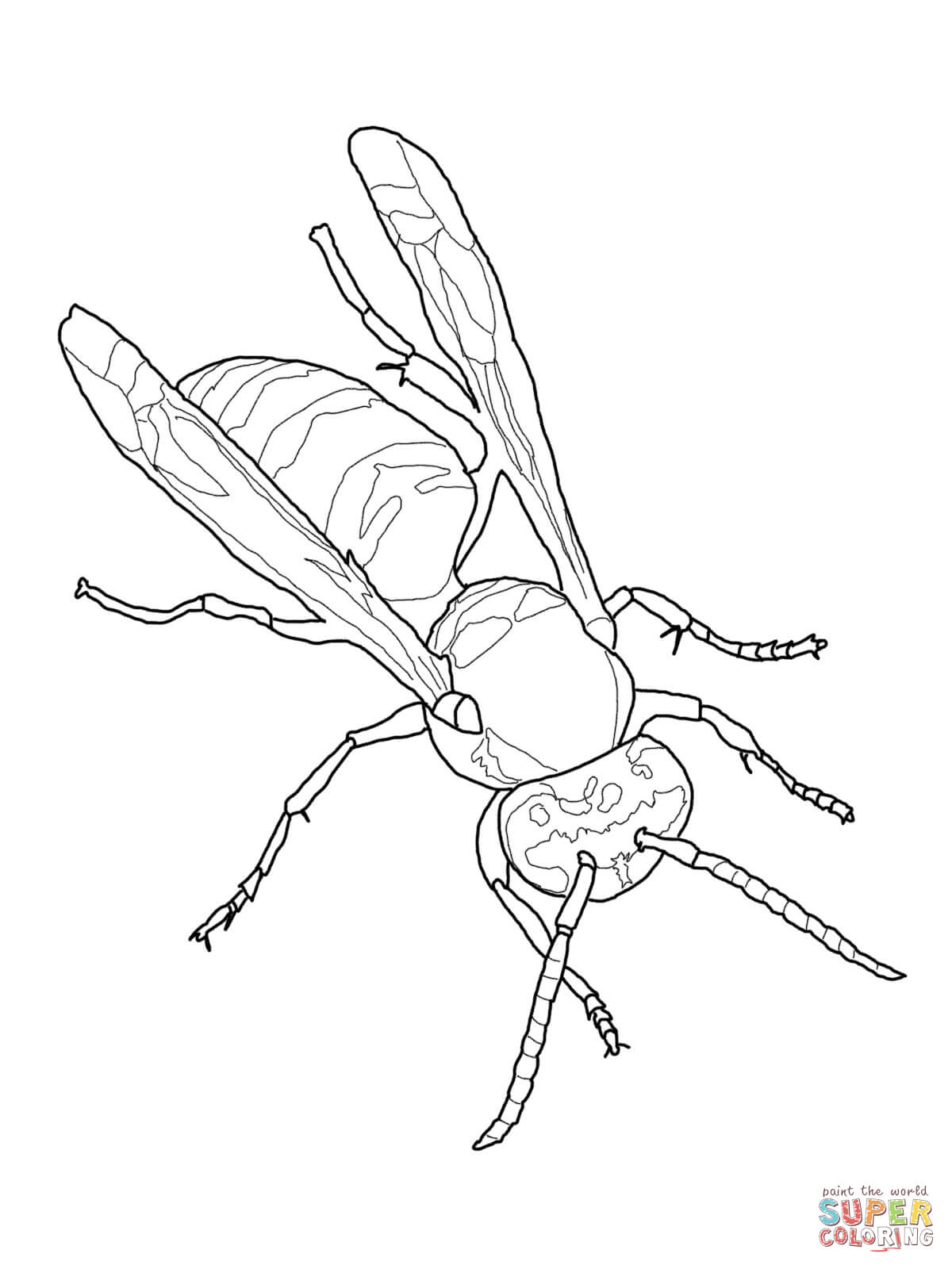 Eastern yellow jacket coloring page free printable coloring pages