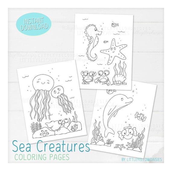 Sea creatures coloring pages ocean coloring book summer dolphin fish octopus sea horse jellyfish sheets to color animals printable