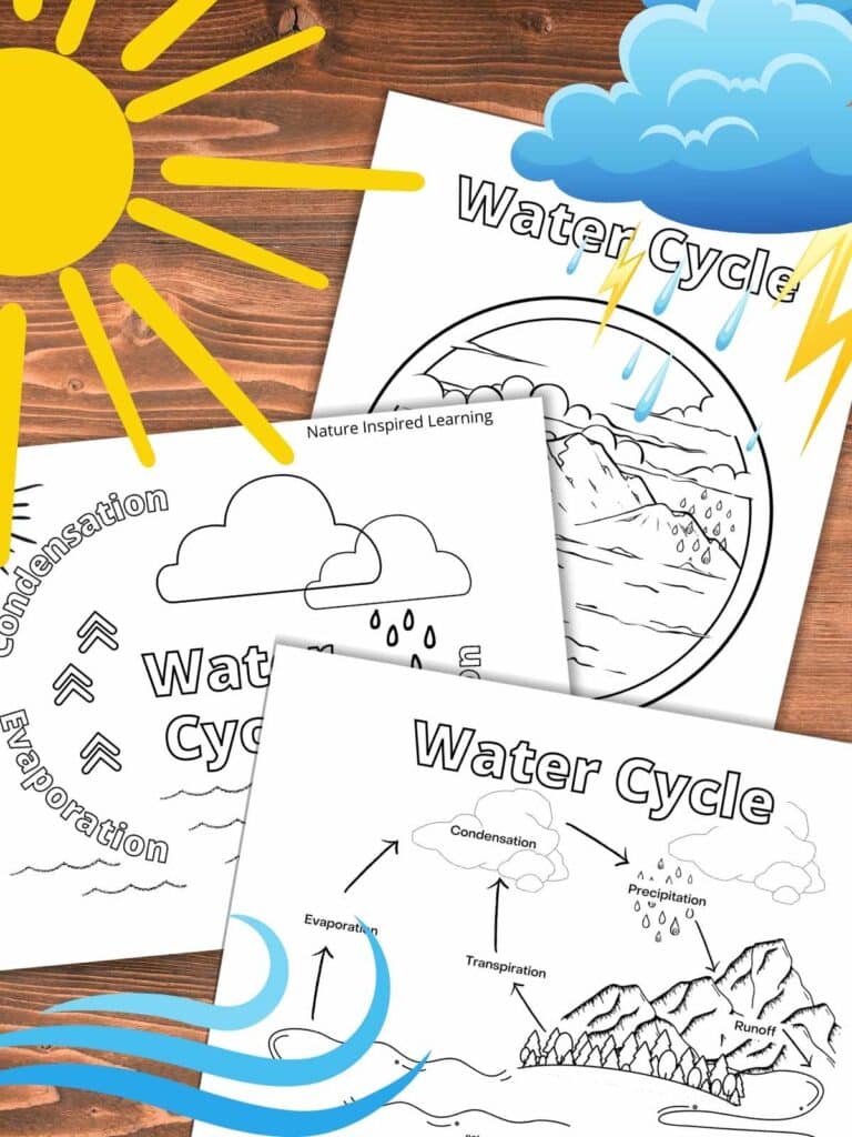 Water cycle coloring pages for kids