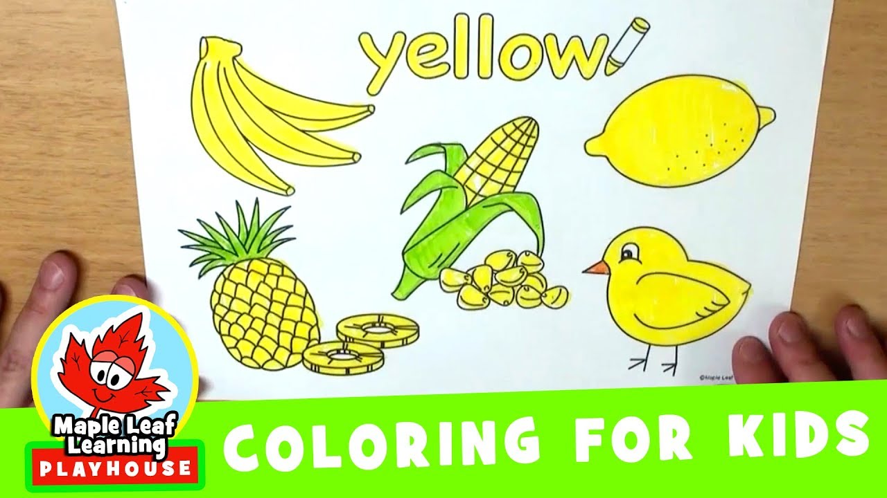 Yellow coloring worksheet maple leaf learning library