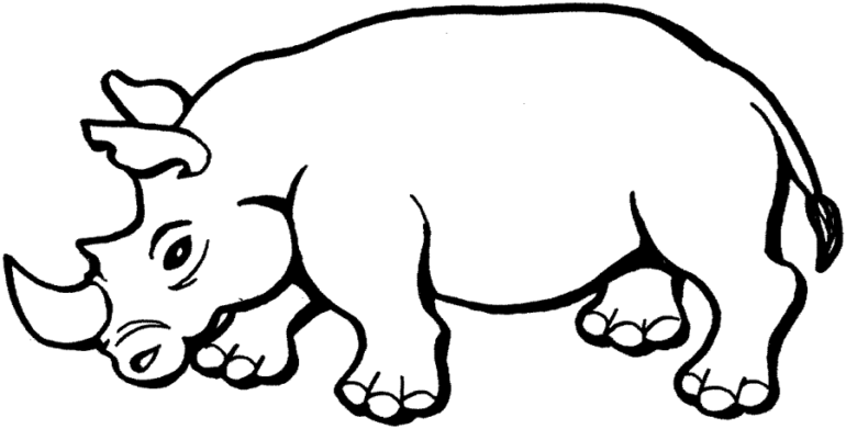 Zoo animal printable coloring pages â free printable downloads from
