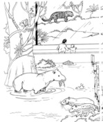 Zoo animals coloring pages free printable pictures