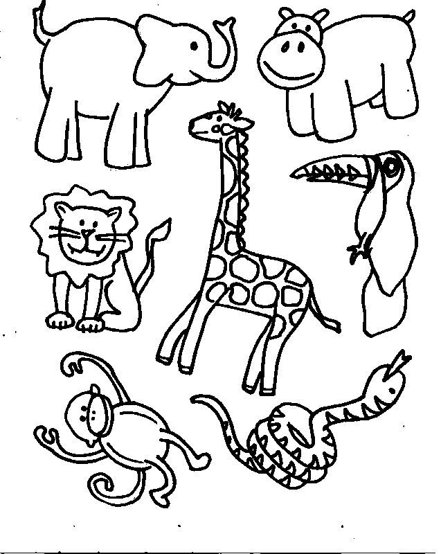 Free printable zoo coloring pages zoo animal coloring pages jungle coloring pages