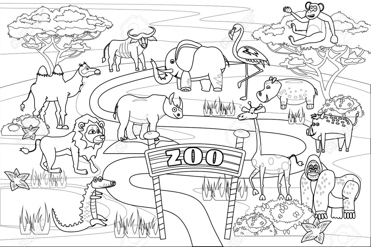 Zoo jungle safari animals coloring book educational illustration for children set cute lion crocodile monkey elephant camel rhinoceros gorilla hyppo vector white black cartoon outline royalty free svg cliparts vectors and stock