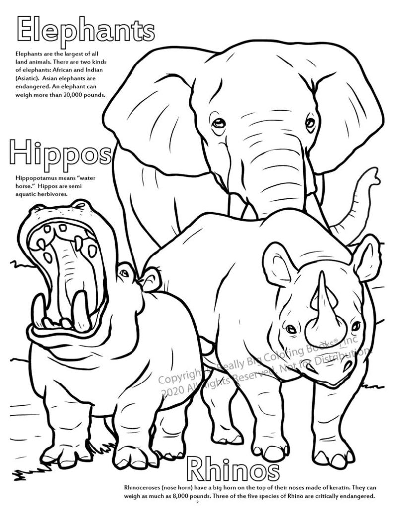 Zoo animals coloring book x