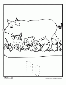 Zoo animal coloring pages with letter writing practice
