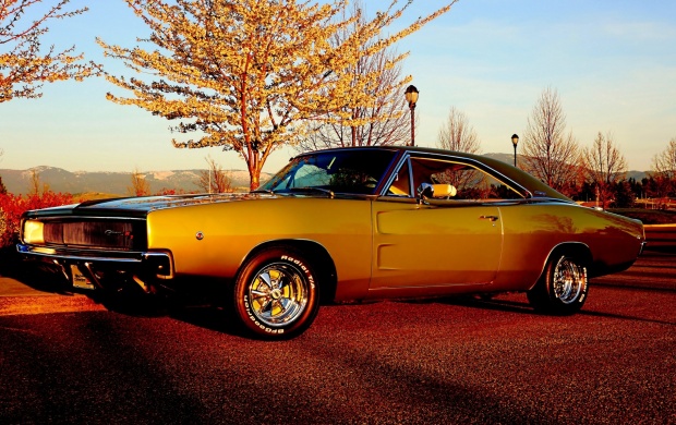 1968 Dodge Charger RT (click to view)
