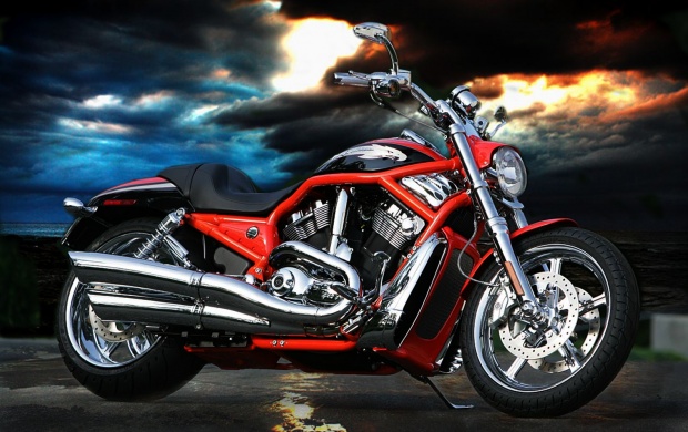 2011 Harley Davidson V Rod