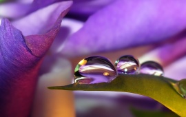 3 Cool Water Drops