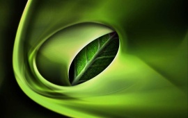 3D green leaf