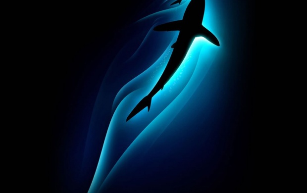 Abstract Shark (click to view)