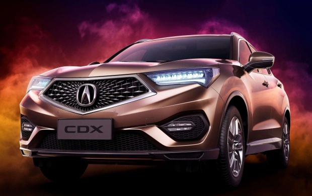 Acura CDX 2017 (click to view)