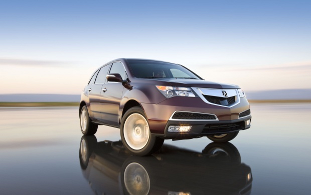 Acura MDX (2011) (click to view)