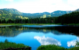 Amzing view of a lake and trees
