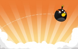 Angry Birds Black