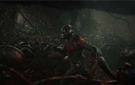 Ant Man With Ants