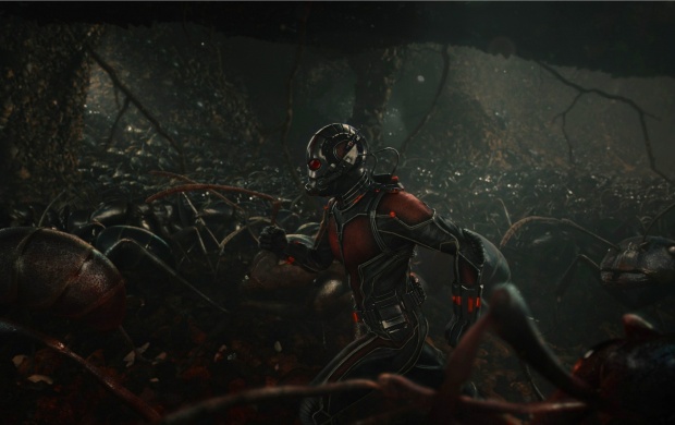 Ant Man With Ants (click to view)