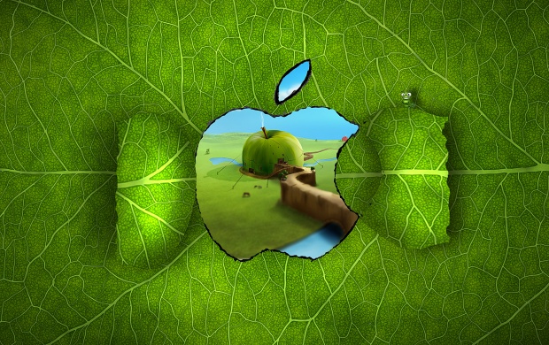 Apple Creativity (click to view)