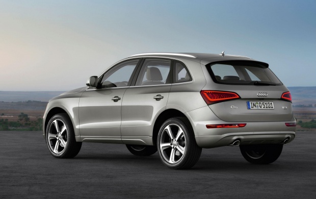 Audi Q5 2013 (click to view)