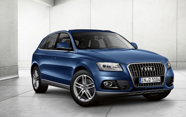 Audi Q5 2013 (click to view)