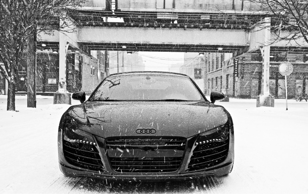 Audi R8 InThe Snow (click to view)
