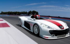 Auto Racing Peugeot Spider 207
