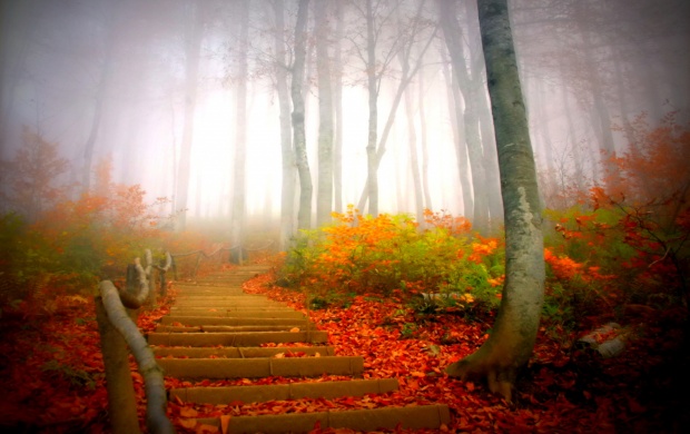 Autumn Fog (click to view)