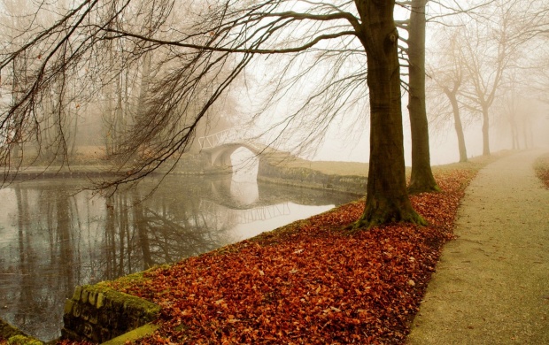 Autumn Fog Park