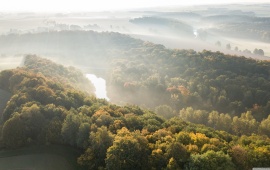 Autumn Forest Seen from Above