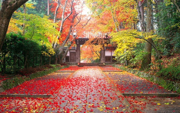 Autumn In Japan (click to view)