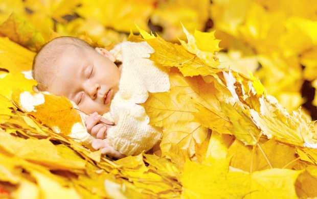 Autumn Leaves In Baby (click to view)