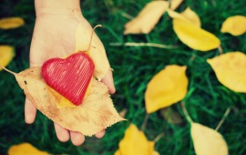 Autumn Leaves On Red Heart