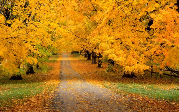 Autumn Road (click to view)