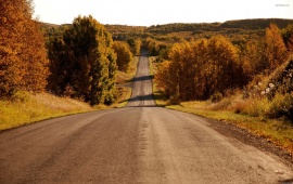Autumn Rural Road