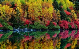Autumn Trees Lake Reflection
