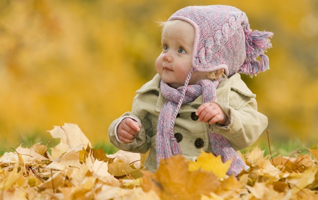 Baby In Autumn Leaves (click to view)