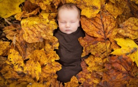 Baby In Foliage