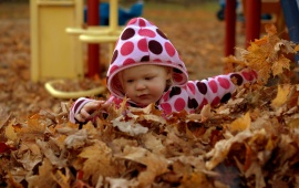 Baby White In Autumn Leaves