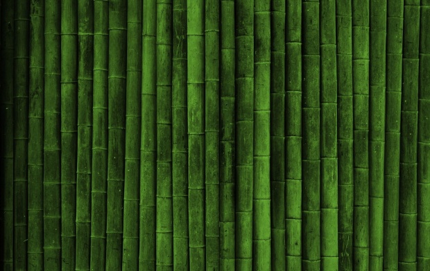 Bamboo Wall (click to view)