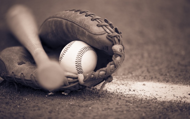 Baseball Bat And Glove (click to view)