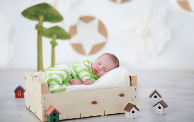 Beautiful Baby Sleeping With Home (click to view)