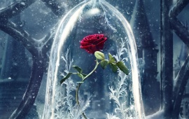 Beauty And The Beast Poster