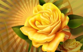Beautyful Yellow Rose