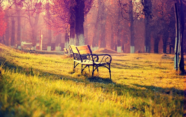 Bench In Park wallpapers