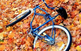 Bicycle Autumn Leaves