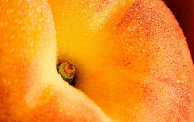 Big Ripe Peach Fruit Macro (click to view)