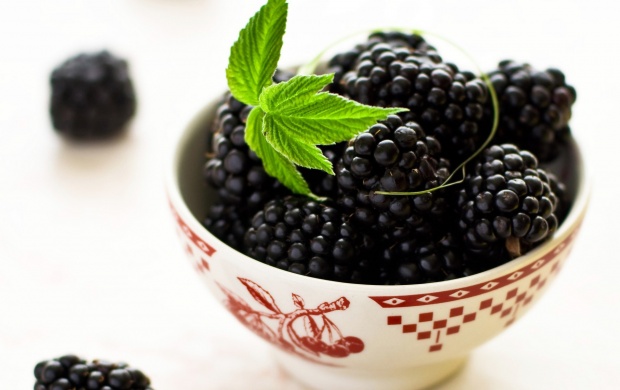 Blackberry Fruit (click to view)